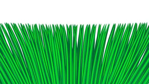 Green grass seamless border, isolated over white, illustration Stock Illustration