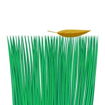 Green grass seamless border, isolated over white, illustration Stock Illustration