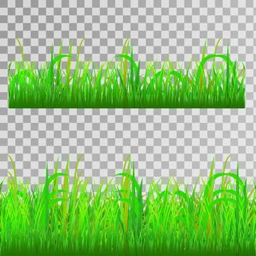 Green grass seamless Stock Illustration
