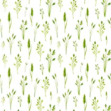 Green grass seamless pattern. Nature background Stock Illustration