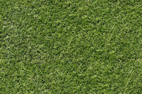 Green grass. seamless texture. background for design Stock Photos