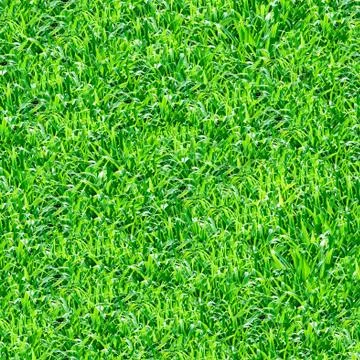 Green grass seamless texture. Stock Photos
