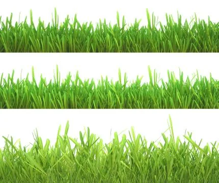 Green grass set. Nature background. Meadow. Spring, summer season. Plant growth Illustrazione stock
