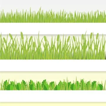 Green grass set vector Stock Illustration