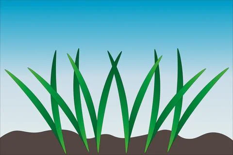 Green grass on sky background Stock Illustration
