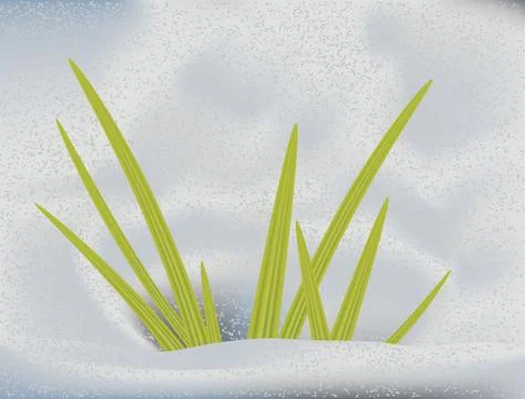 Green grass in snow Illustrazione stock