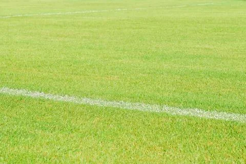 Green grass soccer field Stock Photos