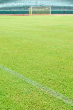 Green grass soccer field Stock Photos