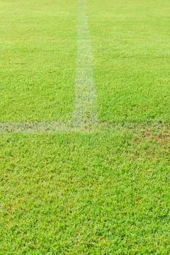 Green grass soccer field Stock Photos
