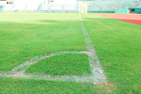 Green grass soccer field Stock Photos