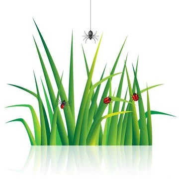 Green grass with spider and ladybug Stock Illustration