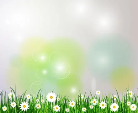 Green grass spring background 스톡 일러스트