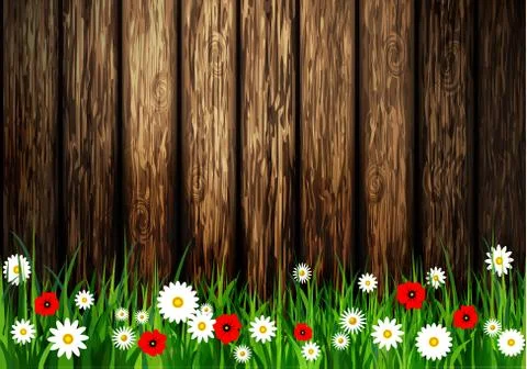 Green grass spring background 스톡 일러스트