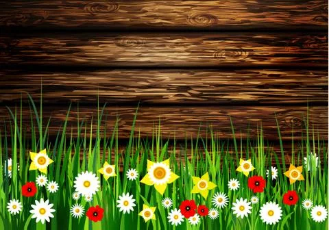 Green grass spring background 스톡 일러스트