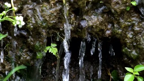 Green grass spring flow around Stock Footage 297732668