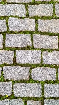 Green grass sprouted between bricks of cobblestone path, top view. Concept of Stock Photos