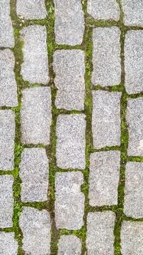 Green grass sprouted between bricks of cobblestone path, concept of harmonious Stock Photos