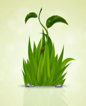 Green grass sprouting from the earth Stock Illustration
