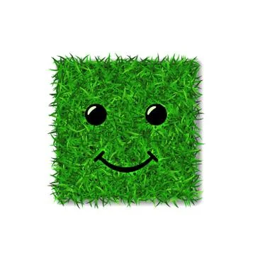 Green grass square field 3D. Face smile. Smiley grassy icon, isolated white b Stock Illustration