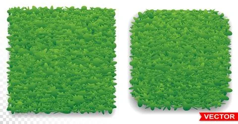 Green grass square pattern vector icon Stock Illustration
