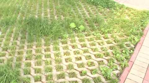 Green grass, stone masonry Stock Footage 5081330