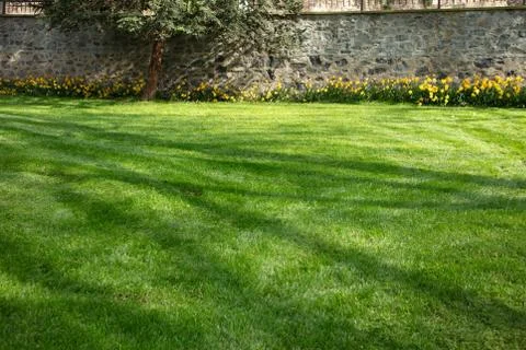 Green grass with stone wall background Stock Photos