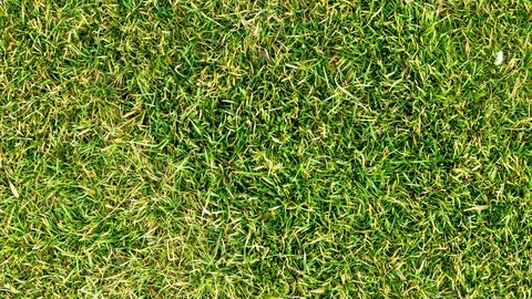 Green Grass Stop Motion Texture Background VJ Seamless Loop 動画素材 104305529