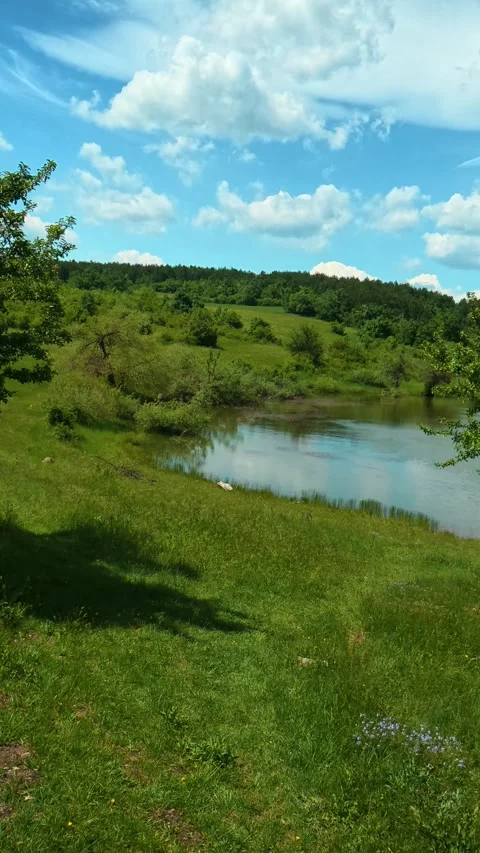 Green grass stretches to a calm river. Vrmdza Lake, Serbia. Vertical Video stock 338029897