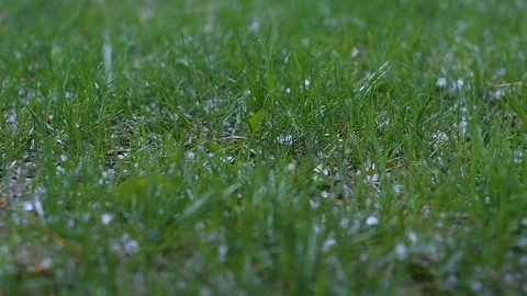 On green grass of summer on cloudy day falling hail of ice. Stock Footage 109434051