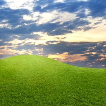 Green grass with  sunset sky Stock Photos