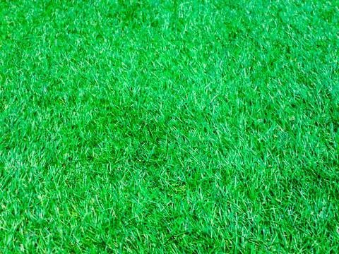Green grass surface ground Stock Photos