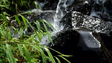 Green grass swaying from the splash of the waterfall Stock Footage 306674707