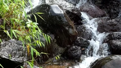 Green grass swaying from the splash of the waterfall. Video stock 306675230