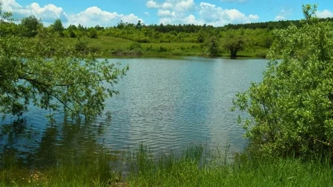 Green grass sways gently near calm water's edge. Vrmdza Lake, Serbia Stock-Footage 338024343