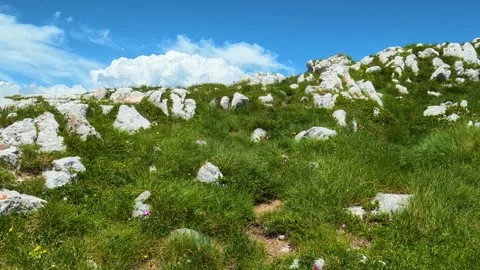Green grass sways gently over rocky slopes. Savin Kuk peak, Montenegro 库存影片 342979094