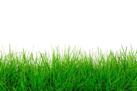 Green grass template Foto stock