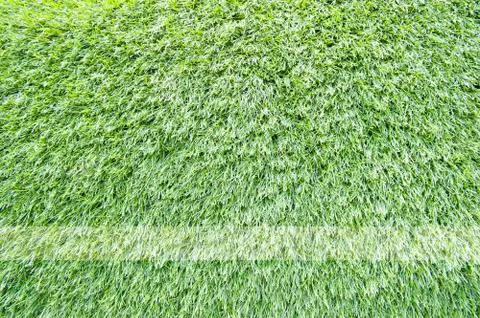 Green grass texture and background Stock Illustration