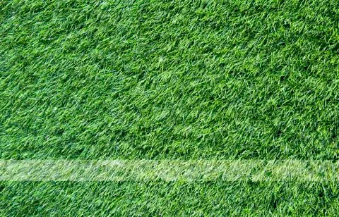 Green grass texture and background Stock Illustration