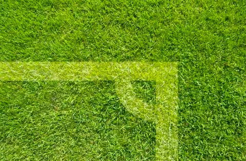 Green grass texture and background Stock Illustration