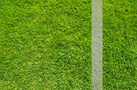 Green grass texture and background Stock Illustration