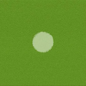 Green grass texture and background Stock Illustration