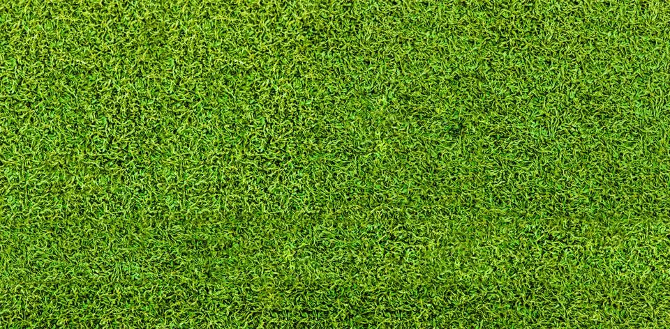 Green grass texture background. Artificial green grass. Stock Photos