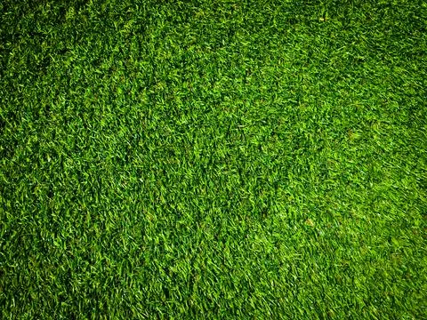 Green grass texture background with copy space for design, Top view Foto stock