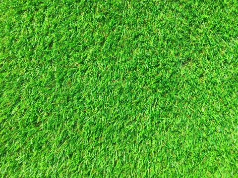 Green grass texture background with copy space for design, Top view Stock Photos