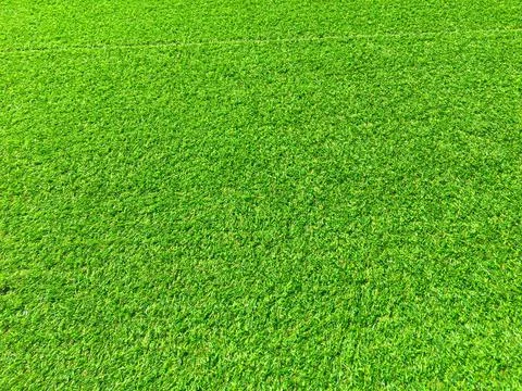 Green grass texture background with copy space for design, Top view Foto stock
