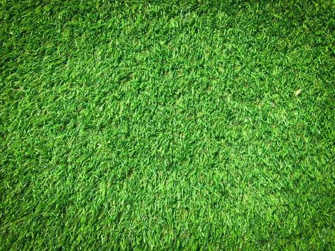 Green grass texture background with copy space for design, Top view Stock Photos