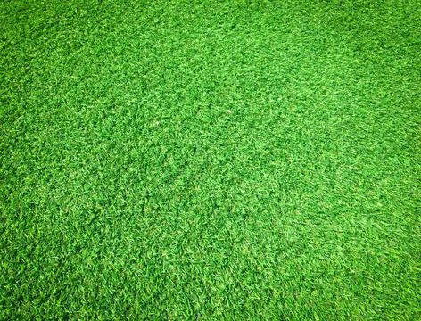 Green grass texture background with copy space for design, Top view Foto stock
