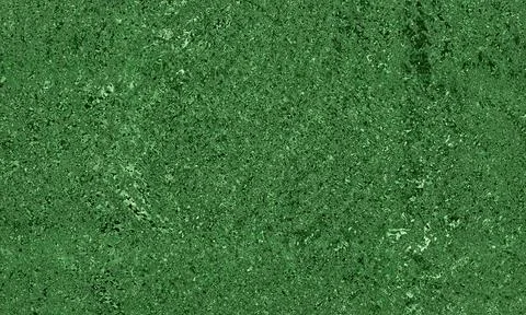 Green grass texture background with dense foliage and varied tones Stock Photos