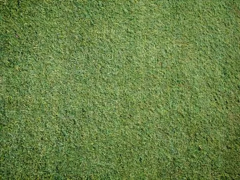 Green grass texture background grass garden green background football pitch Stock Photos