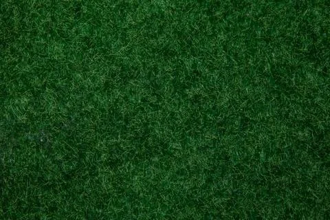 Green grass texture background grass garden concept used for making green Foto stock